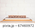 The word PAYROLL and blank space background, 67460972