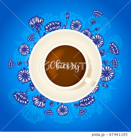 Chicory drink Cup of coffee with chicory Hand drawn flower around Top view Blue background with floral elements Botanical sketch Vector illustration Wild flowers Chicory drink Cup of coffee with chicory Hand drawn flower around Top view Blue background with floral elements Botanical sketch Vector illustration Wild flowers 67461105