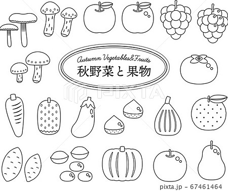 秋野菜と果物セット 線画ver のイラスト素材