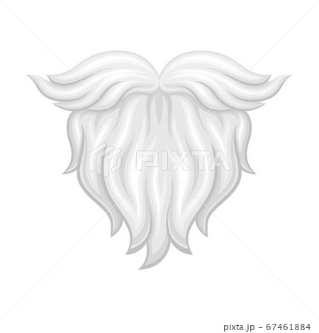White Beard as Carnival or Party Attribute Vector Illustration 67461884