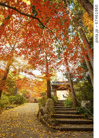 京都の紅葉の名所　神蔵寺　京都亀岡観光スポット　明智光秀ゆかりの地　 67461960