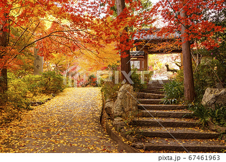 京都の紅葉の名所　神蔵寺　京都亀岡観光スポット　明智光秀ゆかりの地　 67461963