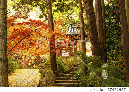 京都の紅葉の名所　神蔵寺　京都亀岡観光スポット　明智光秀ゆかりの地　 67461967