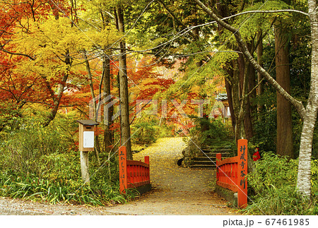 京都の紅葉の名所 神蔵寺 京都亀岡観光スポット 明智光秀ゆかりの地 京都の紅葉の名所 神蔵寺 京都亀岡観光スポット 明智光秀ゆかりの地 67461985