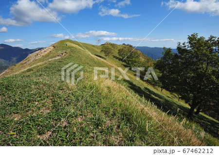 足尾 中倉山山頂西側から山頂へ続く草原の尾根を見る 足尾 中倉山山頂西側から山頂へ続く草原の尾根を見る 67462212