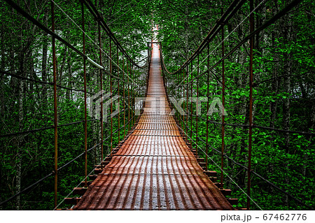suspension bridge 67462776