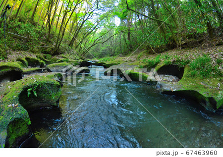 久留味川渓谷 67463960