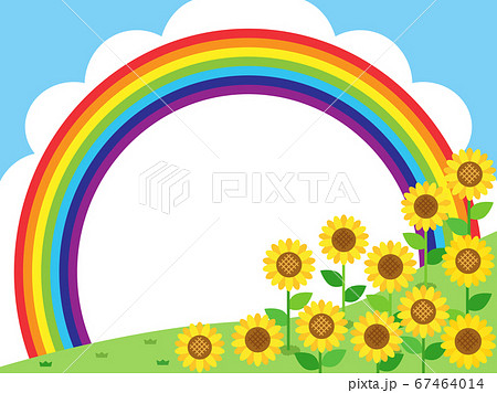 ひまわり56 ヒマワリ 向日葵 花 植物 ひまわり56 ヒマワリ 向日葵 花 植物 67464014