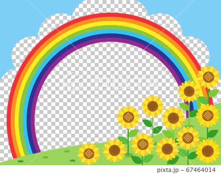 ひまわり56 ヒマワリ 向日葵 花 植物 ひまわり56 ヒマワリ 向日葵 花 植物 67464014