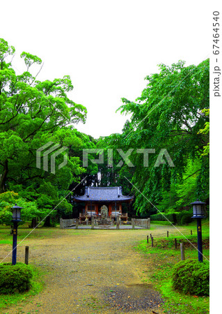京都市伏見区、世界遺産（醍醐寺）の風景、不動堂、夏色の醍醐寺風景【7月】 67464540
