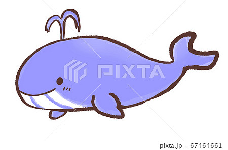 R もっとメルヘンなかわいい水族館 クジラ1のイラスト素材 67464661 Pixta