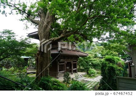 鎌倉の寺院 鎌倉の寺院 67467452