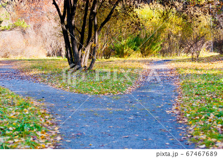 path way with two direction, life choice concept path way with two direction, life choice concept 67467689