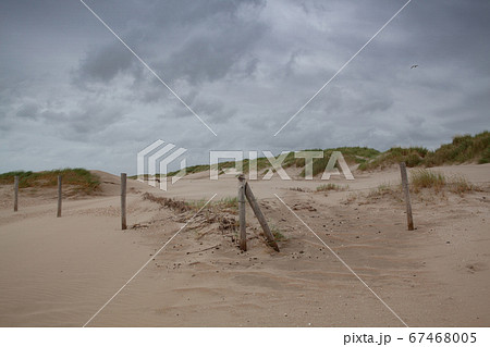 The beach in Hargen aan Zee in Netherlands 67468005