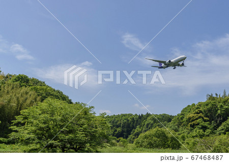 湿地公園 新緑と飛行機 湿地公園 新緑と飛行機 67468487