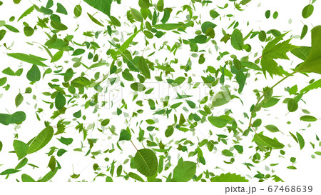 緑 グリーン エコロジー 風 舞う 葉 3d イラスト Cg 背景 バックグラウンドのイラスト素材