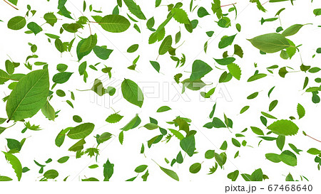 緑 グリーン エコロジー 風 舞う 葉 3d イラスト Cg 背景 バックグラウンドのイラスト素材