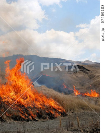 阿蘇山の野焼き　燃え上がる炎　（熊本県） 67469188