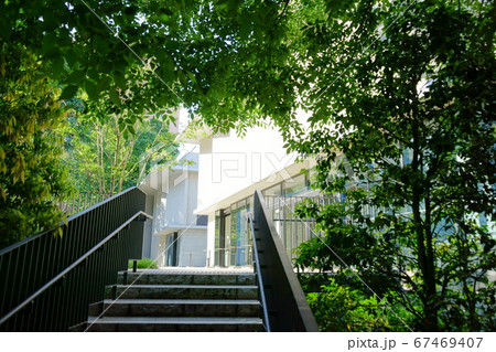 緑に囲まれた階段を上がる 67469407