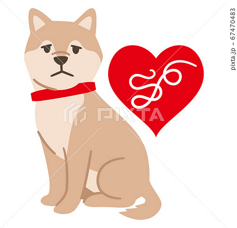 フィラリアに感染した犬 67470483