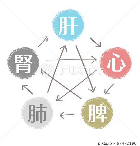 漢方 五行説の図のイラスト素材