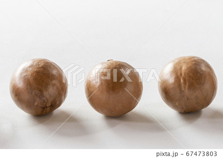 殻が付いた3つのマカダミアナッツ 67473803