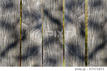 Can see forest through the old boardwalk. 67473853