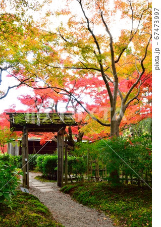 万博記念公園(千里庵の枯山水) 67473997