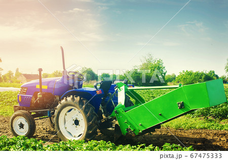tractor in the field with a plow for digging potatoes harvesting, seasonal work, fresh vegetables, agro-culture, farming, close-up, good harvest on a sunny day. selective focus tractor in the field with a plow for digging potatoes harvesting, seasonal work, fresh vegetables, agro-culture, farming, close-up, good harvest on a sunny day. selective focus 67475333