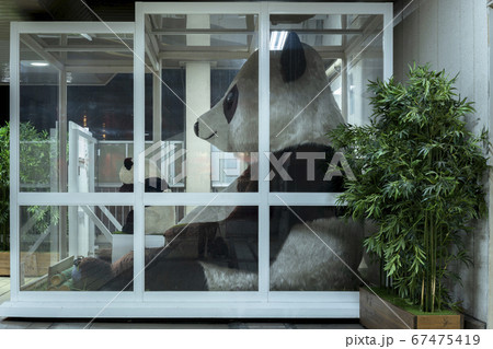東京 上野 上野駅の入谷出口に展示されてる巨大なパンダのぬいぐるみ の写真素材 東京 上野 上野駅の入谷出口に展示されてる巨大なパンダのぬいぐるみ の写真素材