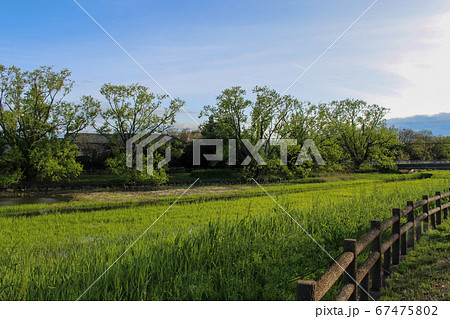 別府沼公園 別府沼公園 67475802