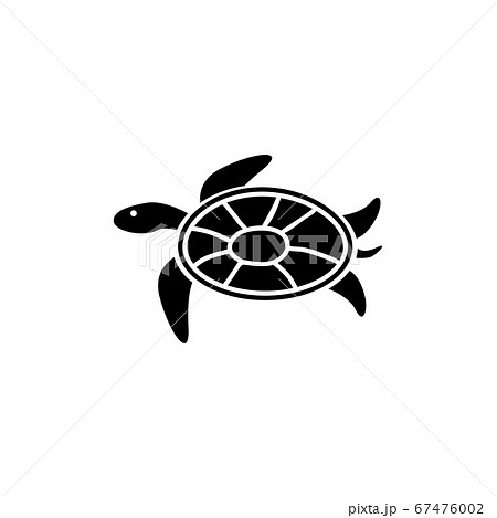 Sea Turtle Tortoise Marine Reptile Flat Vectorのイラスト素材