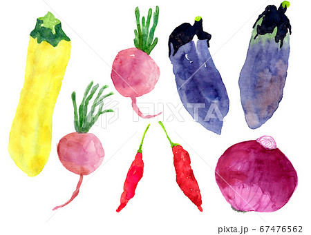 水彩で描いた夏野菜セットのイラスト素材