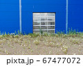 overgrown entrance to an abandoned shopping center building. closed car dealership 67477072