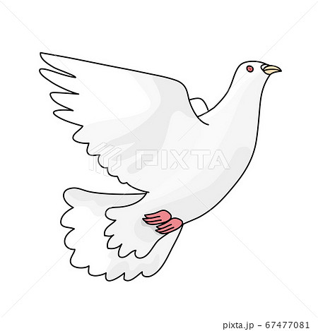 White Dove 2 Stock Illustration