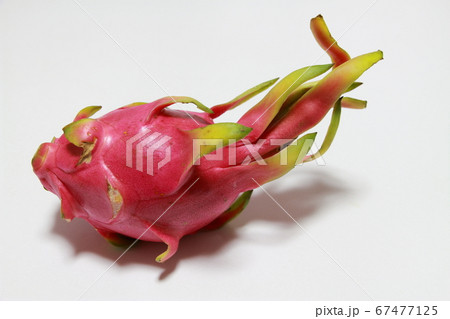 ホワイトピタヤ 67477125