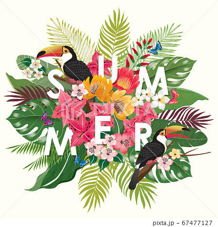 Vector illustration of tropical flowers in summer with birds and butterflies for wedding, anniversary, birthday party. 67477127