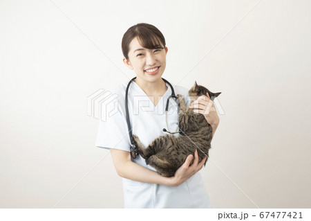 猫を抱く女性獣医師 67477421
