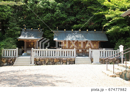 阪神タイガース必勝祈願広田神社 67477982