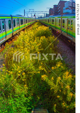 横浜線と夕焼けに照らされる横浜の街並み 67478219