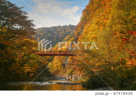北海道　秋　定山渓　二見吊橋 67478439