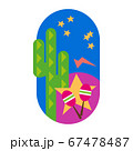 Green cactus Mexico background, vector isolated on 67478487