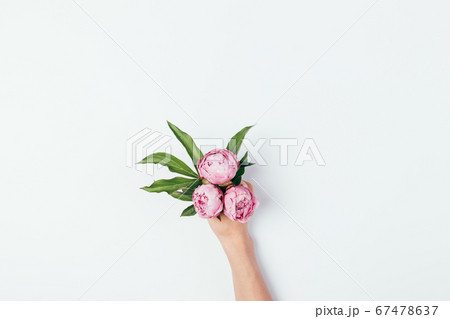 Female hand holding bouquet of pink peony flowers Female hand holding bouquet of pink peony flowers 67478637