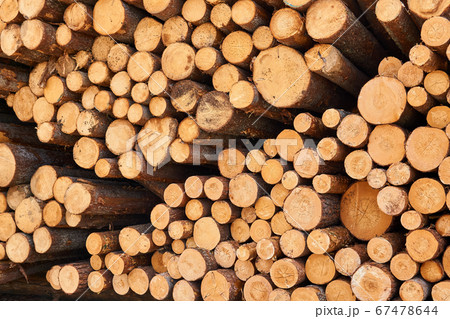 background - ends of stacked logs background - ends of stacked logs 67478644