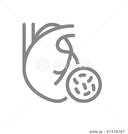 Heart with bacteria line icon. Disease internal organ, infectious disease, cardiosclerosis symbol 67478767