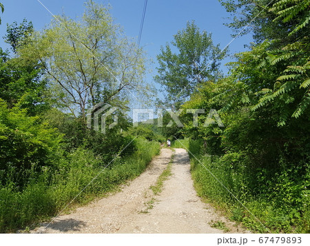 夏 風景 外 67479893