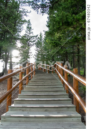 サプライズドコ－ナ－にある展望台への階段　　　バンフ国立公園　アルバ－タ　カナダ 67480342