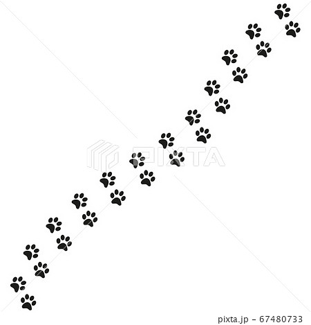 Track of cat dog tracks, footprint, design 67480733