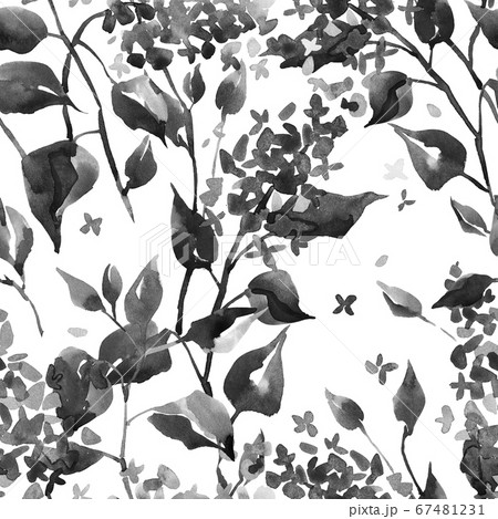 Watercolor floral drawing. Hand drawn lilac flowers in vintage style. Gorgeous seamless botanical pattern made of wild summer flowers. Good for textile, fabric, wallpaper, surface design. 67481231