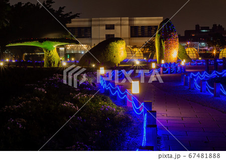 Night view of a whale shape structure with plants 67481888